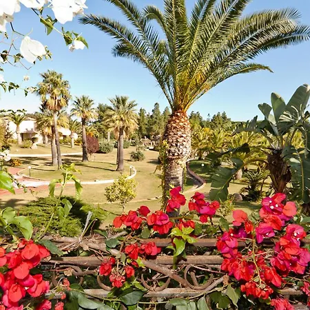 شقة Simple Gem Of Le Dimore Di No1949 بودوني