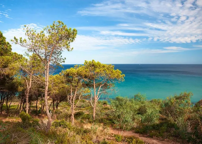 Simple Gem Of Le Dimore Di No1949 Apartamento